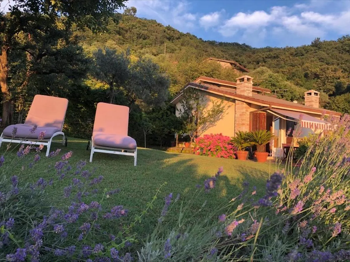 Casa Vacanze Mazurine10 توري ديل بيناكو
